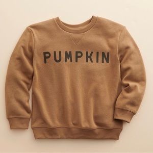 Little Co. Pumpkin Sweatshirt